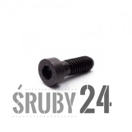 Śruba DIN 6912 PG kl.08.8 Bez Pokrycia M4-M20