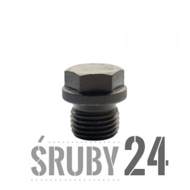 Korek gwint. z łbem. sześć. koł. DIN 910 BP